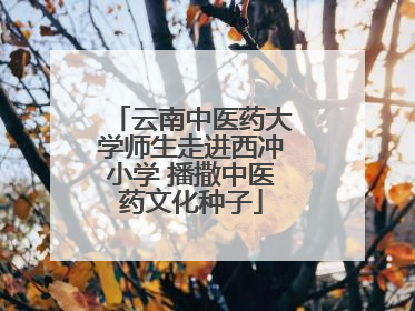 云南中医药大学师生走进西冲小学 播撒中医药文化种子