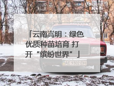 云南嵩明：绿色优质种苗培育 打开“缤纷世界”