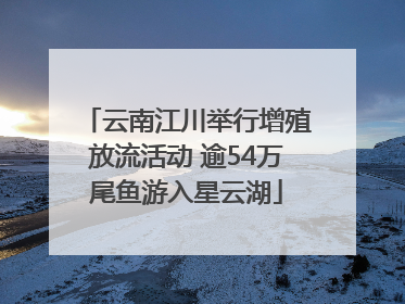 云南江川举行增殖放流活动 逾54万尾鱼游入星云湖