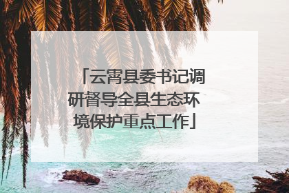 云霄县委书记调研督导全县生态环境保护重点工作