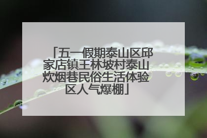 五一假期泰山区邱家店镇王林坡村泰山炊烟巷民俗生活体验区人气爆棚