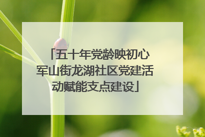 五十年党龄映初心 军山街龙湖社区党建活动赋能支点建设