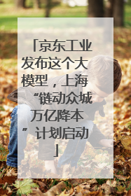 京东工业发布这个大模型，上海“链动众城 万亿降本”计划启动