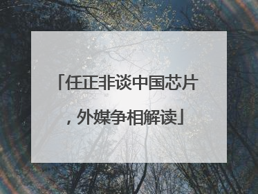 任正非谈中国芯片，外媒争相解读