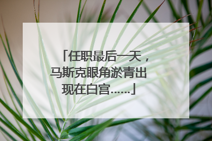 任职最后一天，马斯克眼角淤青出现在白宫……