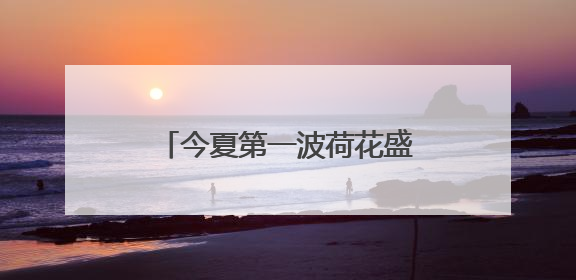 今夏第一波荷花盛开 上海荷花睡莲展7月上旬揭幕