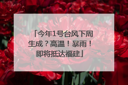 今年1号台风下周生成？高温！暴雨！即将抵达福建