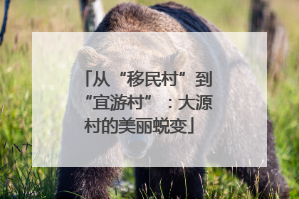 从“移民村”到“宜游村”：大源村的美丽蜕变