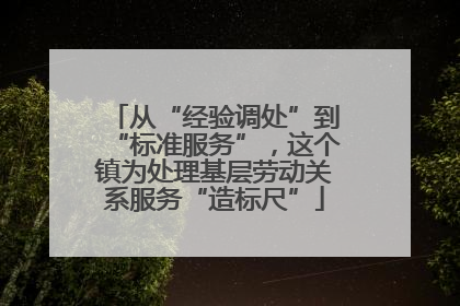 从“经验调处”到“标准服务”，这个镇为处理基层劳动关系服务“造标尺”