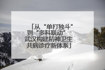 从“单打独斗”到“多科联动” 武汉构建精神卫生共病诊疗新体系