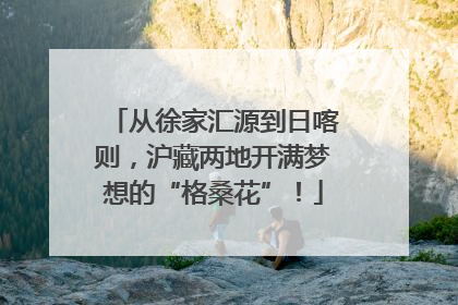 从徐家汇源到日喀则，沪藏两地开满梦想的“格桑花”！