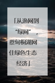 从渔网到“绿网”，蔡甸桐湖网住绿色生态经济