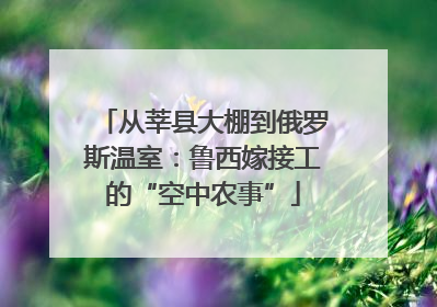 从莘县大棚到俄罗斯温室：鲁西嫁接工的“空中农事”