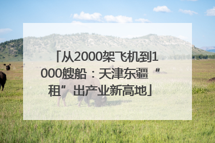 从2000架飞机到1000艘船：天津东疆“租”出产业新高地