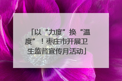 以“力度”换“温度”！枣庄市开展卫生监督宣传月活动
