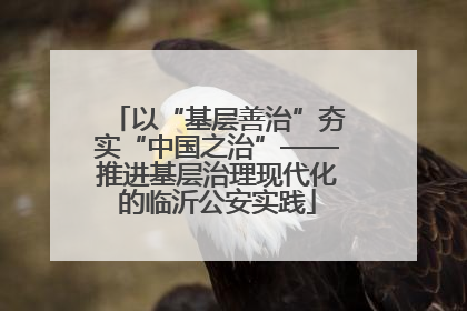 以“基层善治”夯实“中国之治”——推进基层治理现代化的临沂公安实践