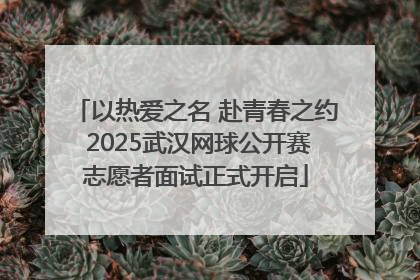 以热爱之名 赴青春之约 2025武汉网球公开赛志愿者面试正式开启