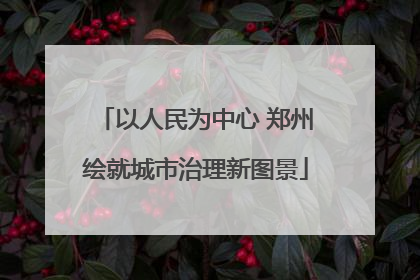 以人民为中心 郑州绘就城市治理新图景