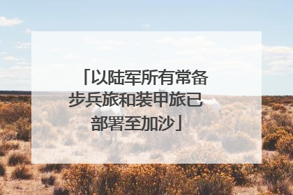 以陆军所有常备步兵旅和装甲旅已部署至加沙