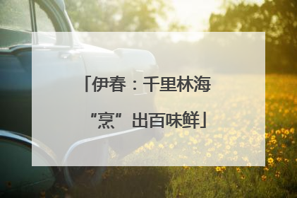 伊春：千里林海“烹”出百味鲜