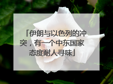 伊朗与以色列的冲突，有一个中东国家态度耐人寻味