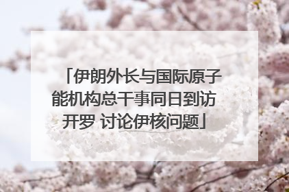 伊朗外长与国际原子能机构总干事同日到访开罗 讨论伊核问题