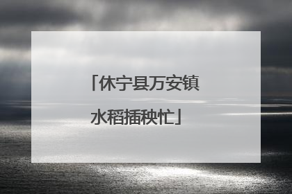 休宁县万安镇水稻插秧忙