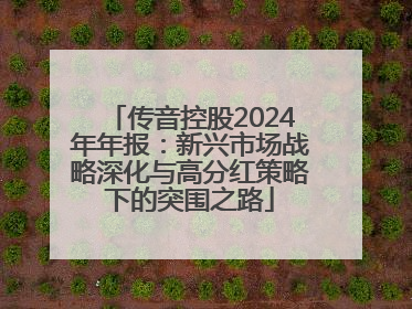 传音控股2024年年报：新兴市场战略深化与高分红策略下的突围之路