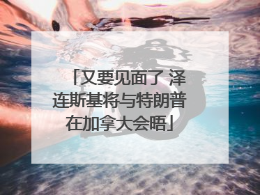 又要见面了 泽连斯基将与特朗普在加拿大会晤