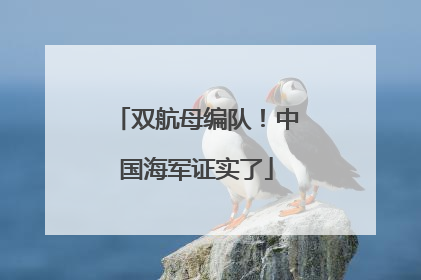 双航母编队！中国海军证实了