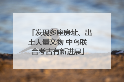 发现多座房址、出土大量文物 中乌联合考古有新进展