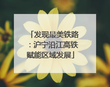 发现最美铁路：沪宁沿江高铁赋能区域发展