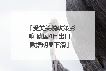 受美关税政策影响 德国4月出口数据明显下滑