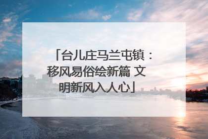 台儿庄马兰屯镇：移风易俗绘新篇 文明新风入人心