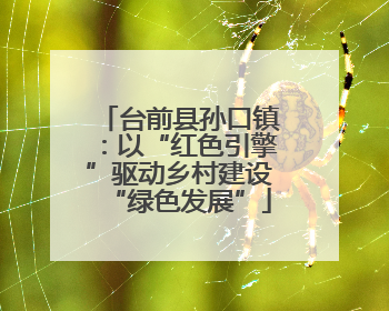 台前县孙口镇：以“红色引擎”驱动乡村建设“绿色发展”
