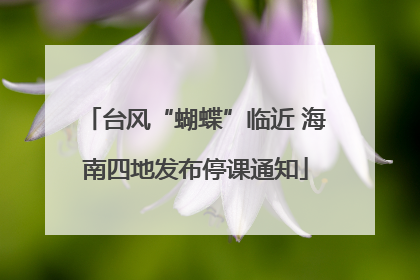 台风“蝴蝶”临近 海南四地发布停课通知