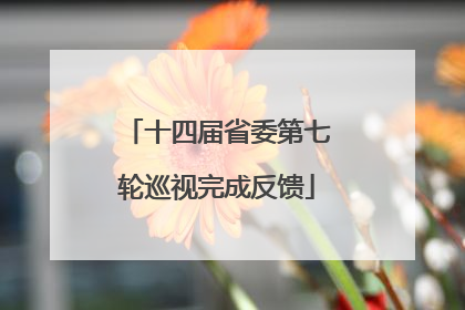 十四届省委第七轮巡视完成反馈