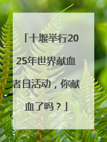 十堰举行2025年世界献血者日活动，你献血了吗？