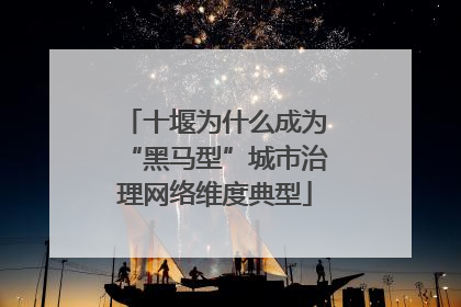 十堰为什么成为“黑马型”城市治理网络维度典型