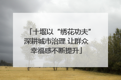十堰以“绣花功夫”深耕城市治理 让群众幸福感不断提升