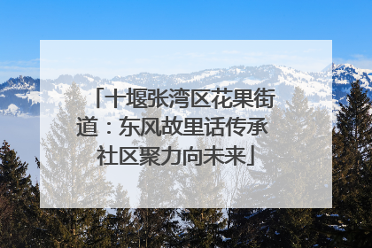 十堰张湾区花果街道：东风故里话传承 社区聚力向未来