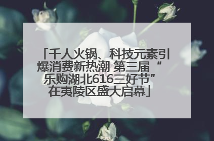 千人火锅、科技元素引爆消费新热潮 第三届“乐购湖北616三好节”在夷陵区盛大启幕