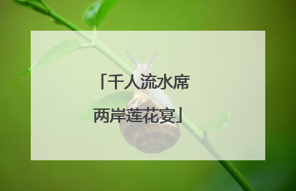 千人流水席 两岸莲花宴