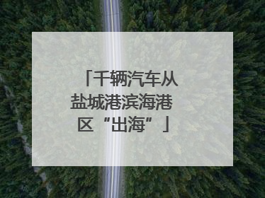 千辆汽车从盐城港滨海港区“出海”