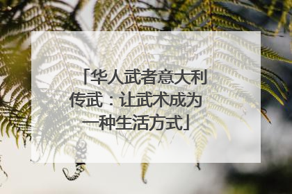 华人武者意大利传武：让武术成为一种生活方式