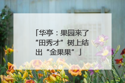 华亭：果园来了“田秀才”树上结出“金果果”