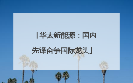 华太新能源：国内先锋奋争国际龙头