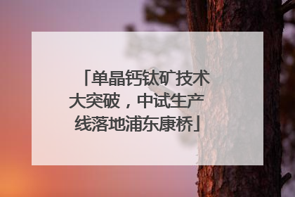 单晶钙钛矿技术大突破，中试生产线落地浦东康桥