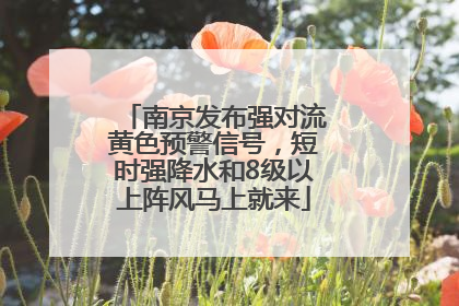 南京发布强对流黄色预警信号，短时强降水和8级以上阵风马上就来
