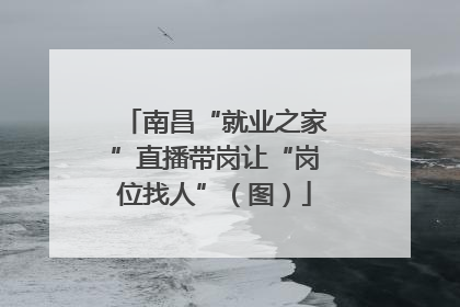南昌“就业之家”直播带岗让“岗位找人”（图）